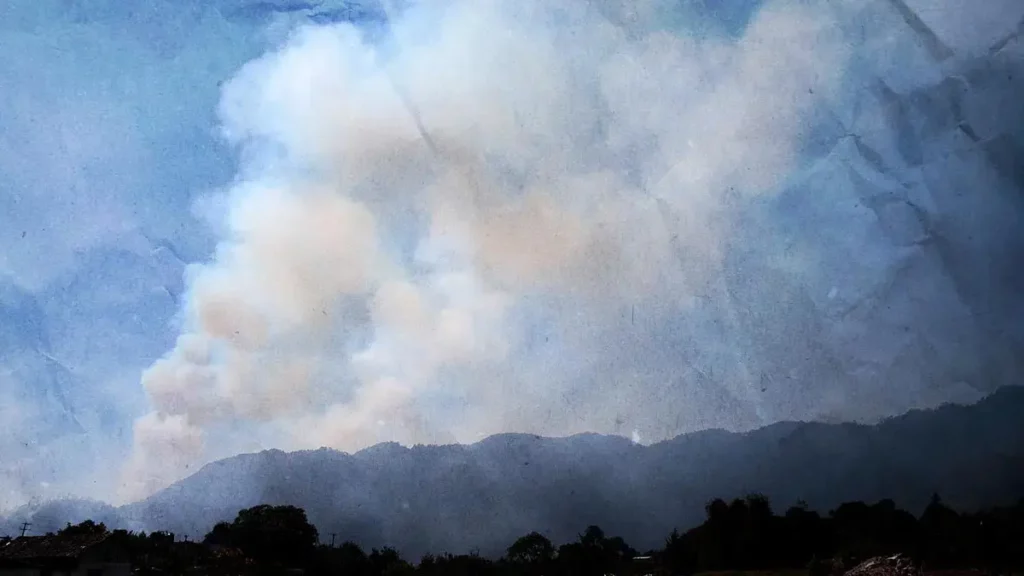 Incendio forestal de Libres está liquidado al 70 por ciento: Medio Ambiente Puebla