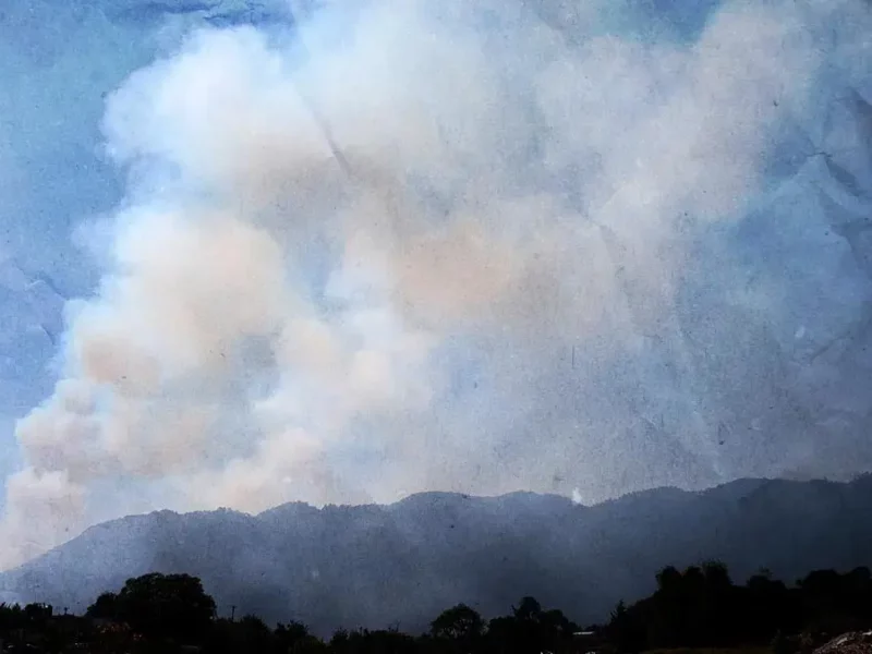 Incendio forestal de Libres está liquidado al 70 por ciento: Medio Ambiente Puebla