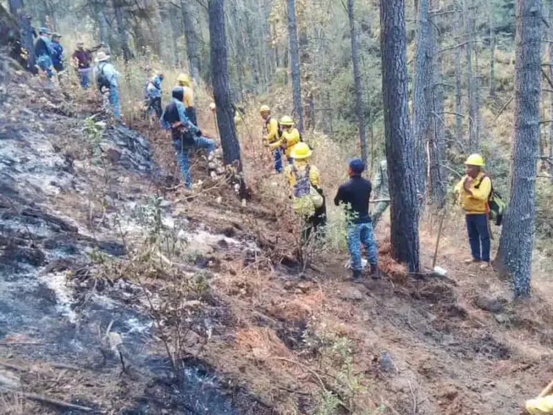 Muerte de brigadistas en incendio de Libres ocurrió porque omitieron recomendaciones de Conafor: Gobierno de Puebla