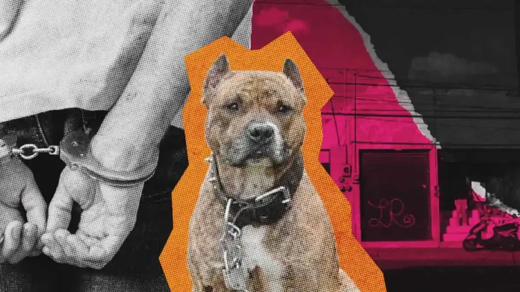 Detienen a sujeto por el asesinato de perro pitbull en El Tamborcito, Puebla