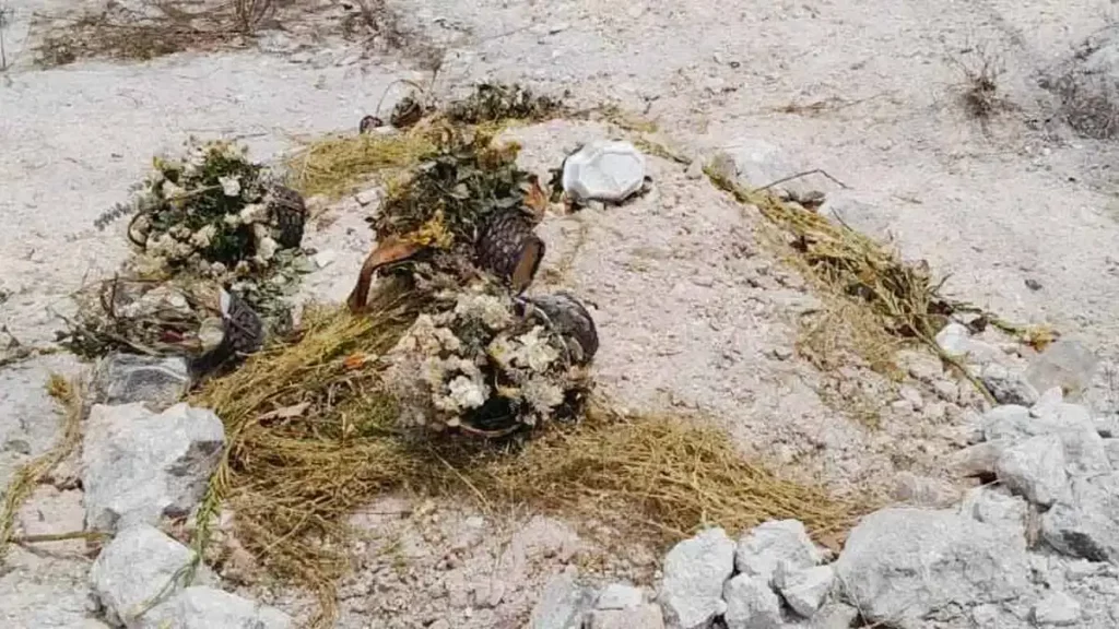 Campesino encuentra tumba clandestina en su terreno en Santo Tomás Chautla