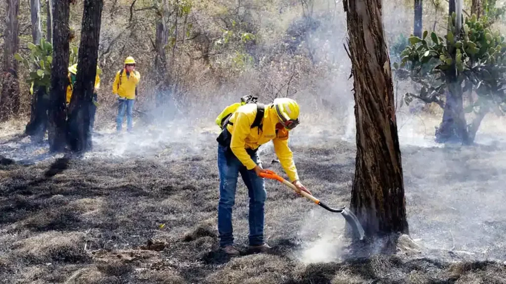 Incendios forestales afectan 6 mil 800 hectáreas en Puebla en lo que va de 2024