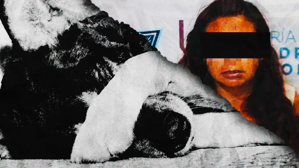 Después de cuatro años, detienen a “La Mataperros” en Puebla