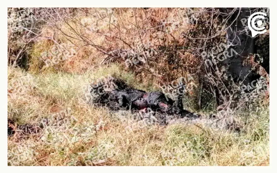 Abandonan cadáver calcinado en la autopista México-Puebla, a la altura de Xoxtla  