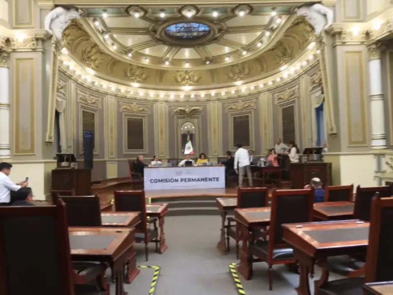 Impulsan en el Congreso iniciativas y puntos de acuerdo en materia de bienestar animal