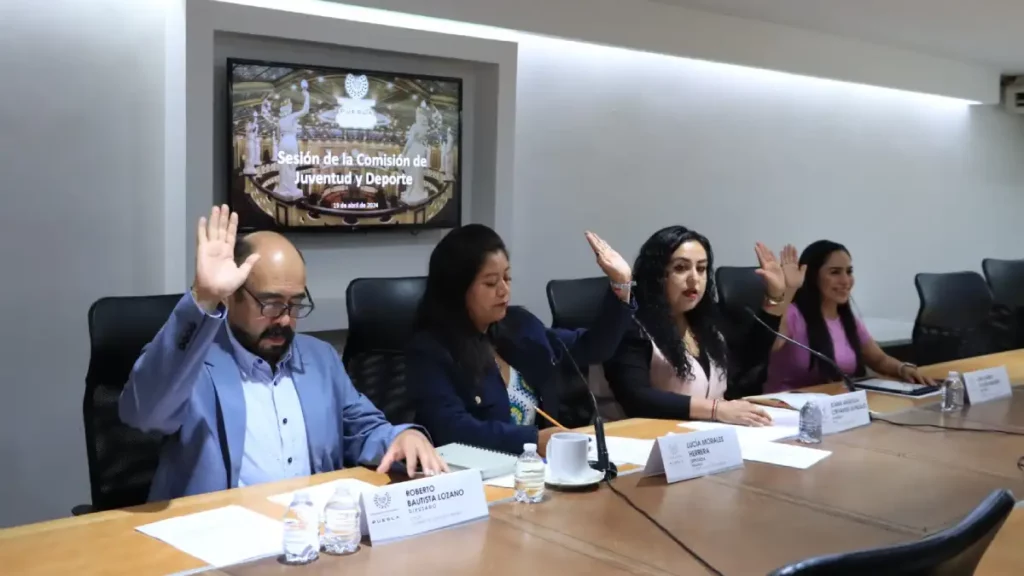 Aprueba Comisión acuerdo para reasignación de iniciativas que se someterán a consulta