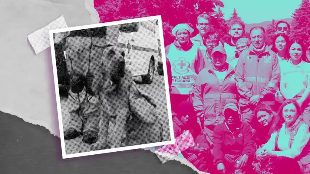 Murió Hunter, perro rescatista de la Cruz Roja de Puebla  
