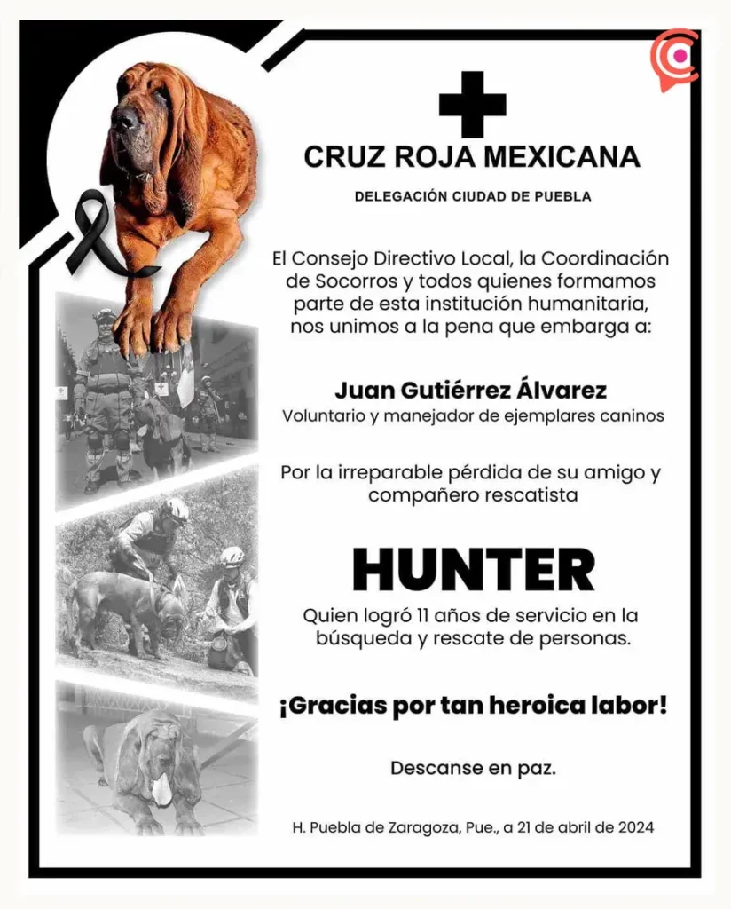 Murió Hunter, perro rescatista de la Cruz Roja de Puebla  