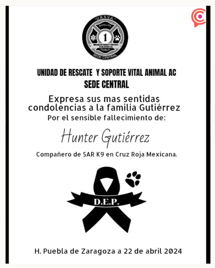 Murió Hunter, perro rescatista de la Cruz Roja de Puebla  