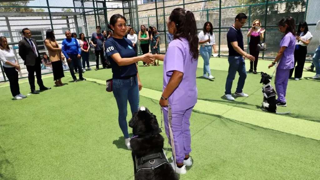 Ayuntamiento de Puebla informa servicios asistidos con canes para la atención de la salud mental