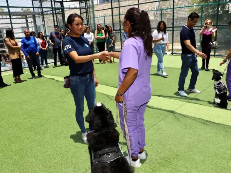 Ayuntamiento de Puebla informa servicios asistidos con canes para la atención de la salud mental