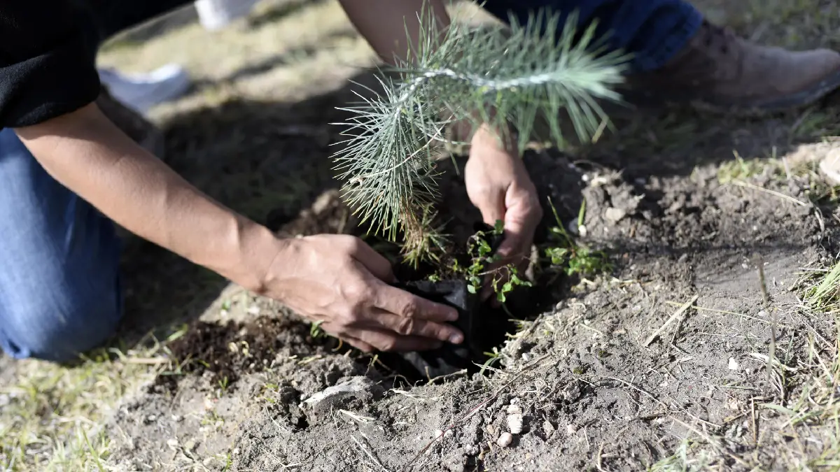 La BUAP impulsa acciones para ser un campus neutro en carbono