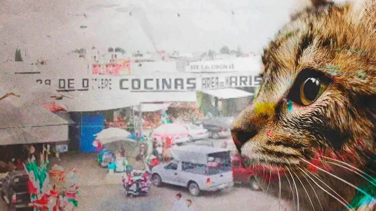 Denuncian maltrato animal en establecimiento del Mercado Hidalgo en Puebla  