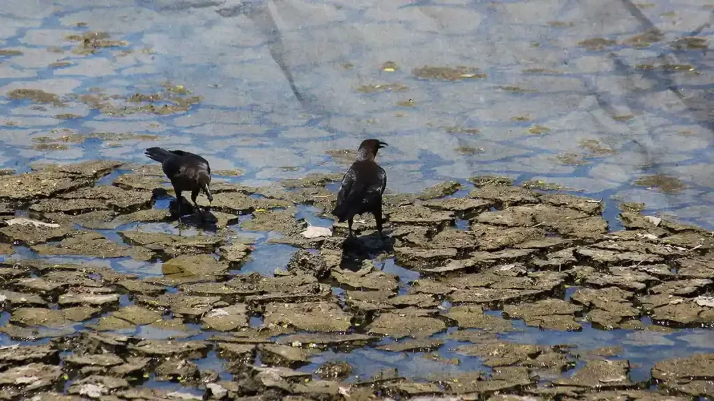 Estas son las empresas que se apoderan del agua de Cuenca Río Libres-Oriental en Puebla