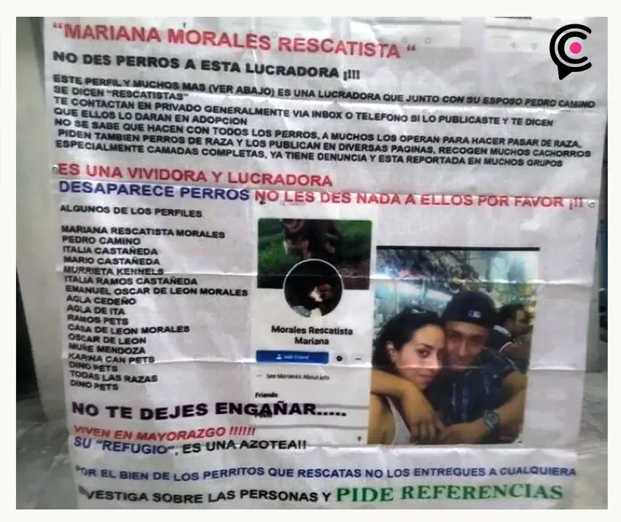 Dan prisión preventiva a pareja por maltrato animal a 12 perros en Mayorazgo