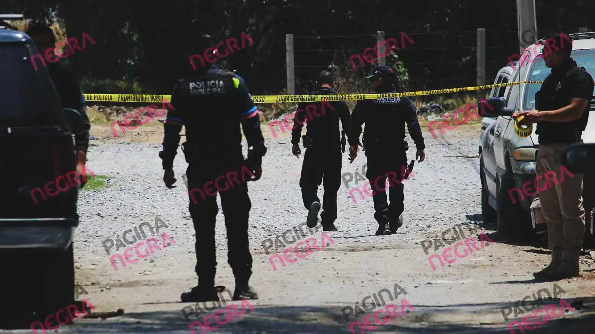 Encuentran cráneo humano en Bosques de Santa Anita, Puebla