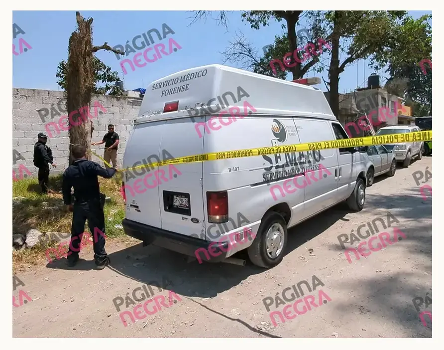 Encuentran cráneo humano en Bosques de Santa Anita, Puebla