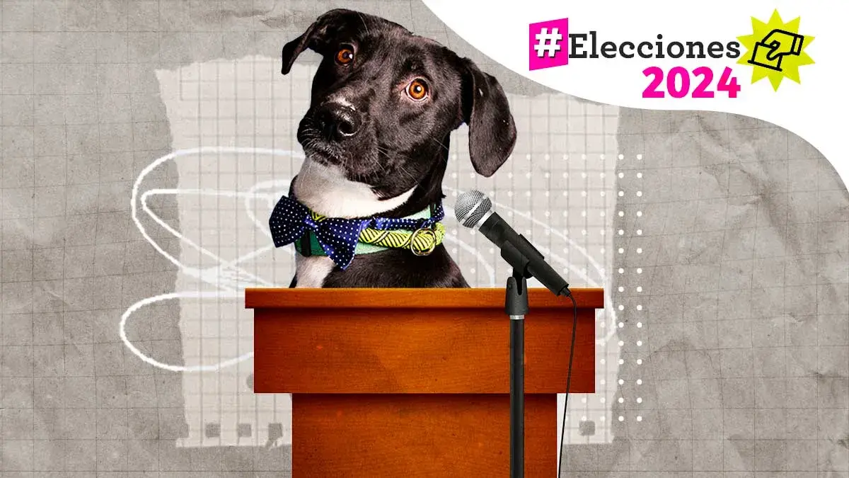 Solo dos candidatos a la gubernatura de Puebla presentaron propuestas animalistas