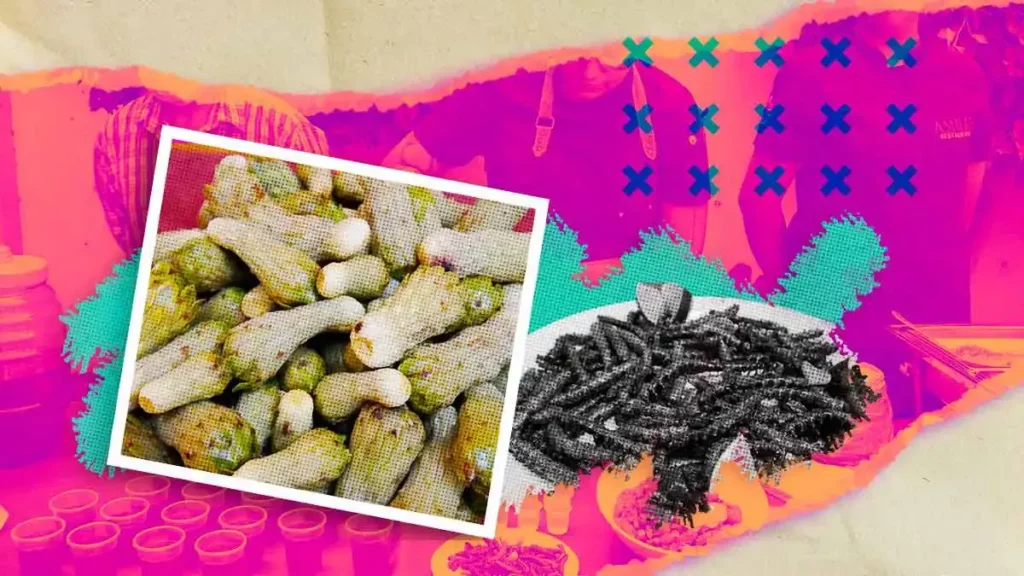 Feria de la Tetecha 2024 ofrecerá platillos a base de flores, frutos e insectos