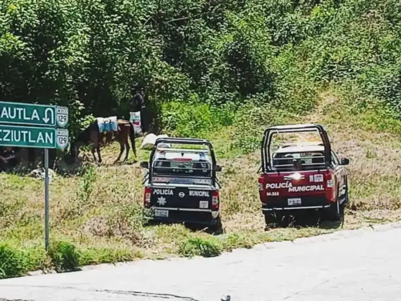 Feminicidio 24: Encuentran el cuerpo de una mujer asesinada a golpes en Chignautla, presentó signos de abuso