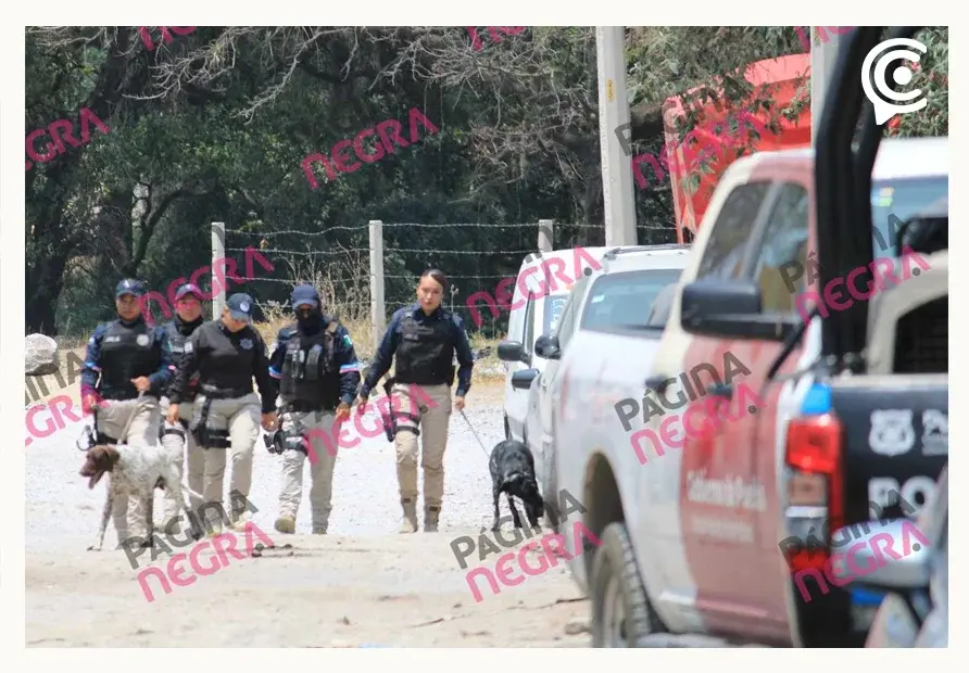 Comisión de Búsqueda de Personas inspecciona Bosques de Santa Anita, donde se encontraron restos humanos