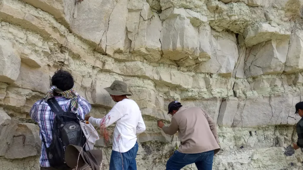 Laboratorio de Paleobiología de la BUAP: estudia el origen, la evolución y extinción de la flora y fauna de México