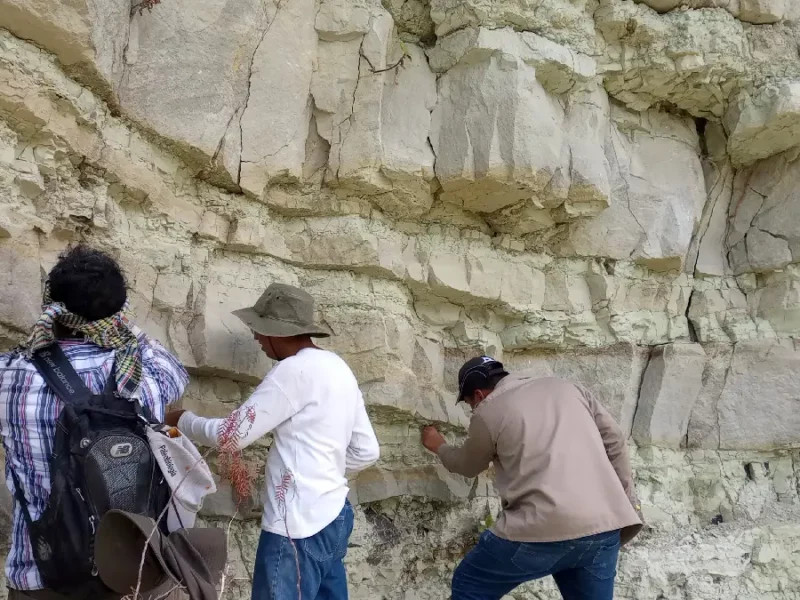 Laboratorio de Paleobiología de la BUAP: estudia el origen, la evolución y extinción de la flora y fauna de México
