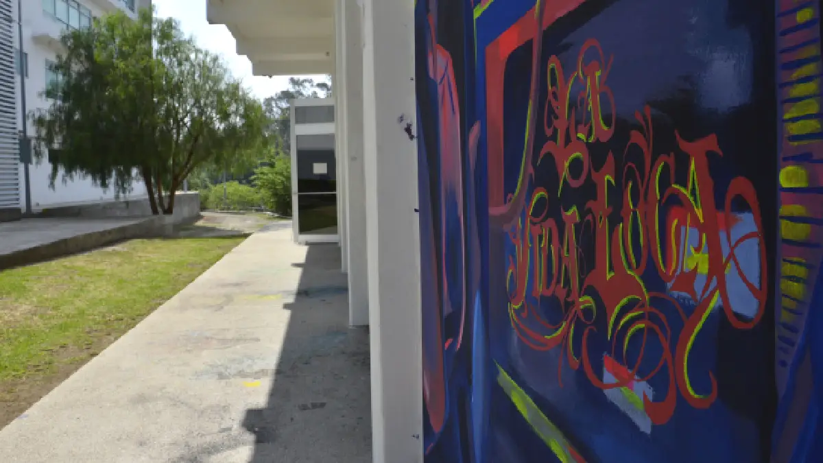 Escuela de Artes Plásticas y Audiovisuales fortalece el área de humanidades