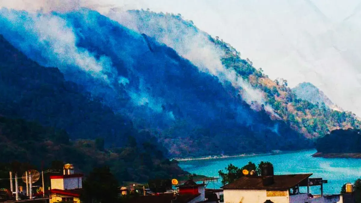 Por segunda noche incendio arrasa con bosque en Nuevo Necaxa