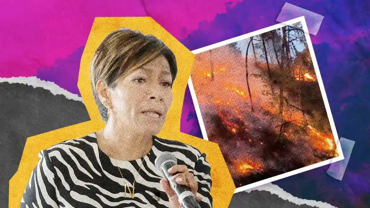 Incendios forestales de Huauchinango y Nuevo Necaxa fueron provocados: Medio Ambiente