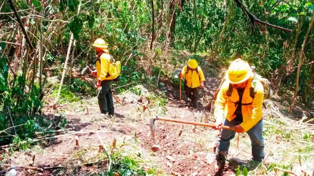 Tras tres días activo, liquidan incendio forestal en Nuevo Necaxa, Puebla