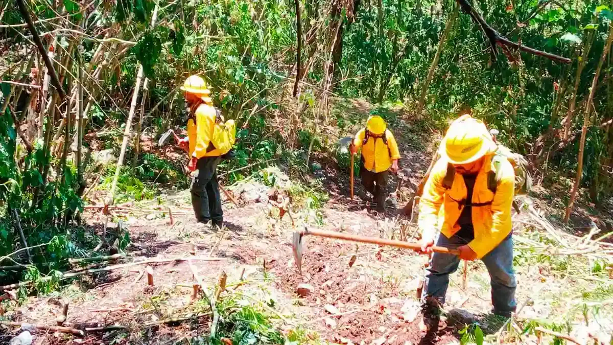 Tras tres días activo, liquidan incendio forestal en Nuevo Necaxa, Puebla