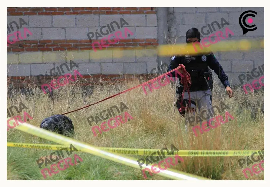 Trabajadores encuentran cráneo humano en San Sebastián de Aparicio; excavaban para construir una cisterna