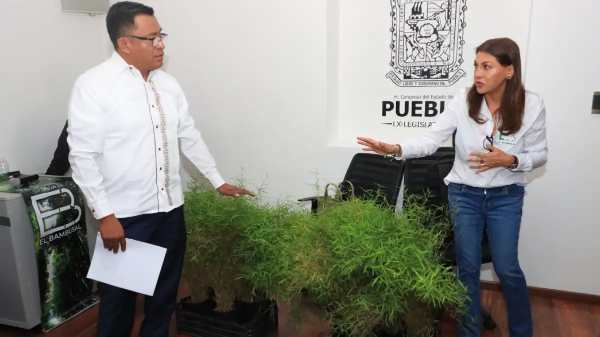 Promueve Congreso del Estado zona turística de "El Bambusal"