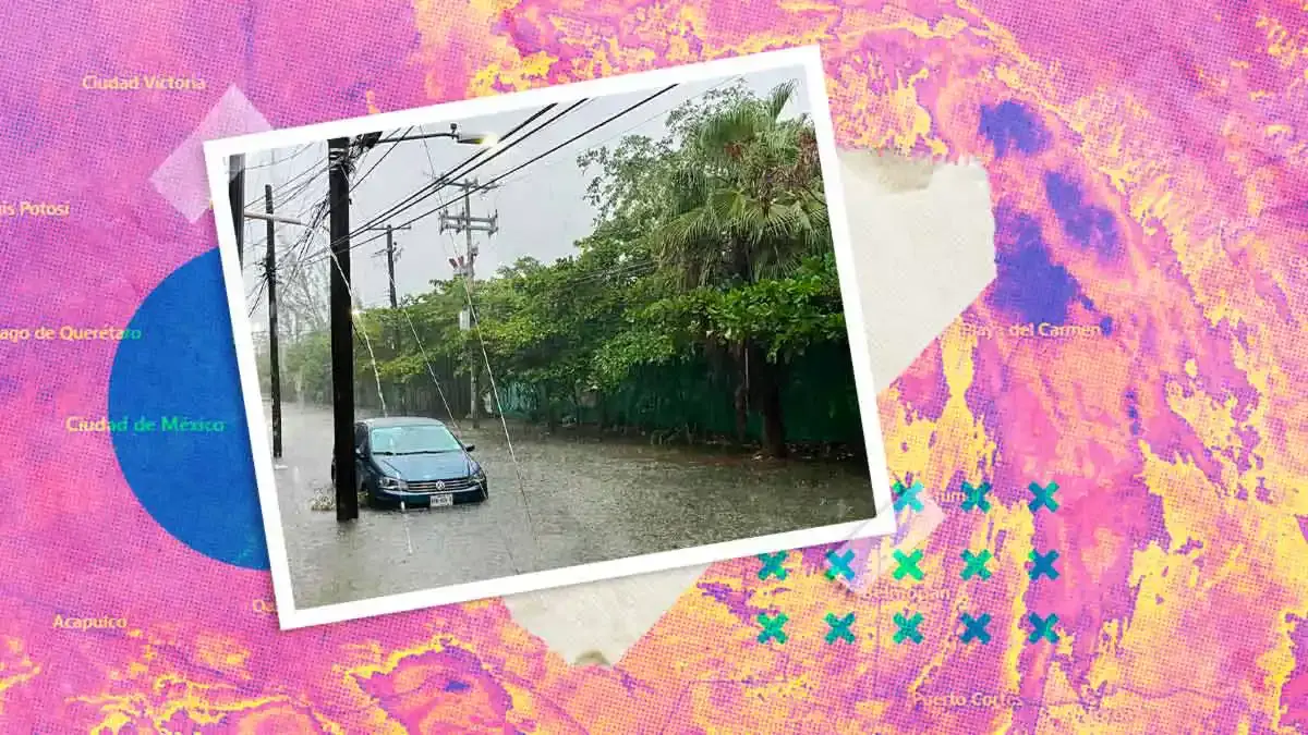 ¿Qué hay que hacer en caso de un ciclón tropical? Checa estas recomendaciones
