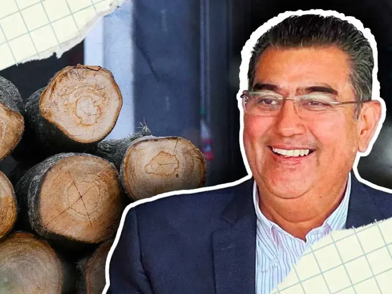 Sergio Salomón Céspedes se compromete a sustituir árboles talados por obra en Amalucan  