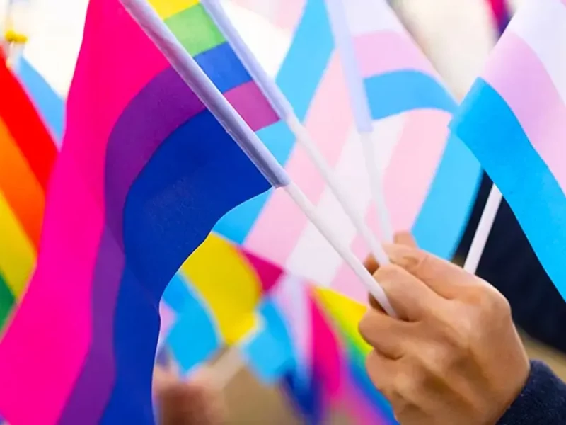 ¿Cuantas banderas del orgullo LGBT hay y cuál es su significado?