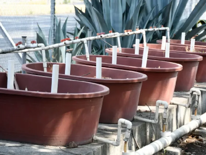 Humedales artificiales: eficientes y baratos para tratar aguas residuales