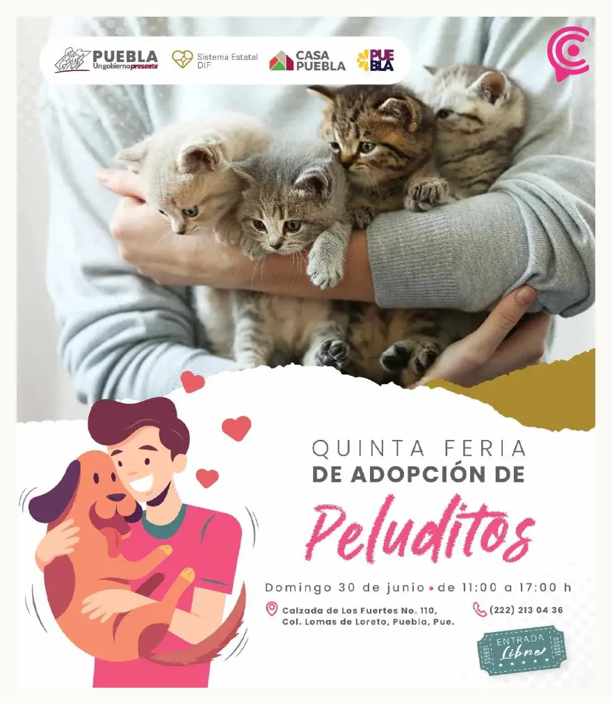 DIF Puebla invita a la quinta Feria de Adopción de perros y gatos