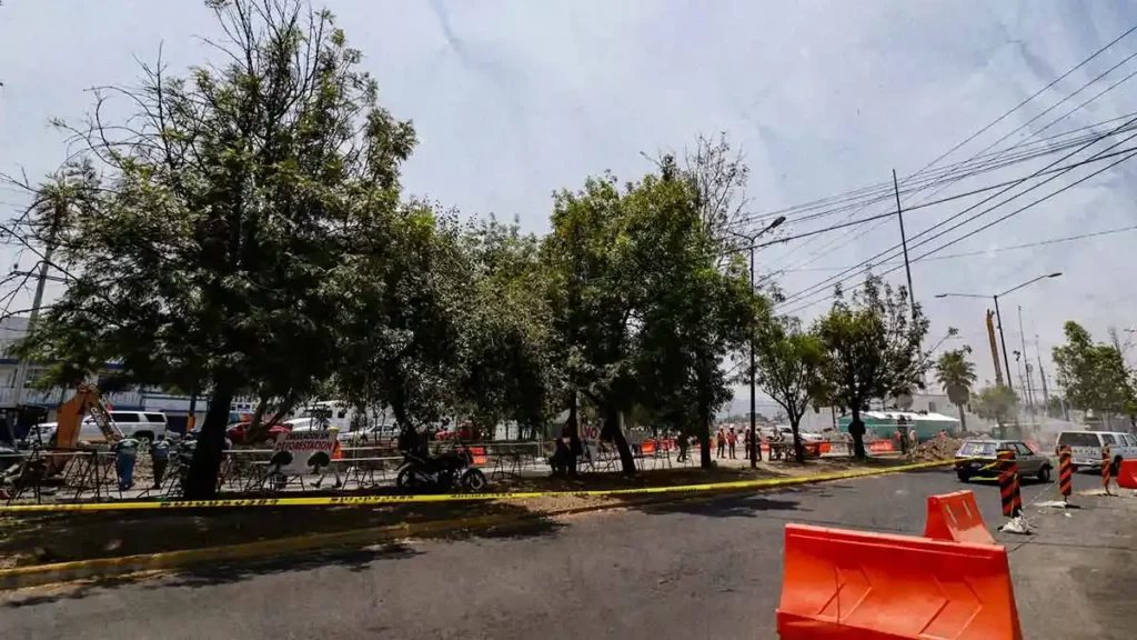 Otorgan permiso para tala de 35 árboles en el Entronque de Amalucan en Puebla 