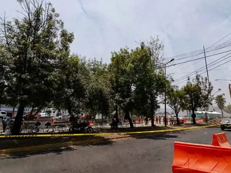 Otorgan permiso para tala de 35 árboles en el Entronque de Amalucan en Puebla 