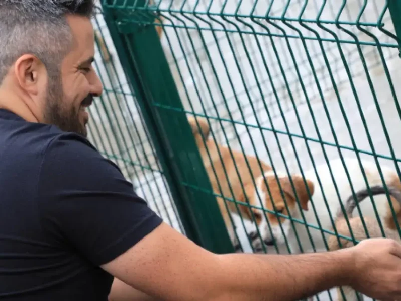 Ayuntamiento de Puebla inaugura la primera estancia para el bienestar animal de la ciudad
