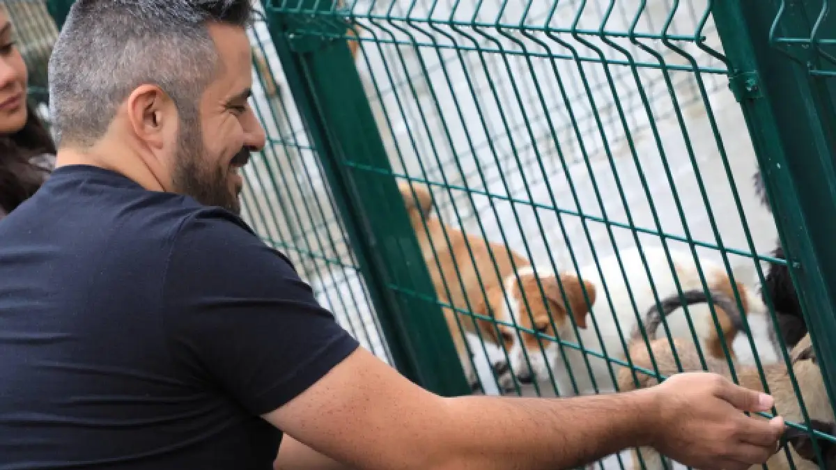Ayuntamiento de Puebla inaugura la primera estancia para el bienestar animal de la ciudad
