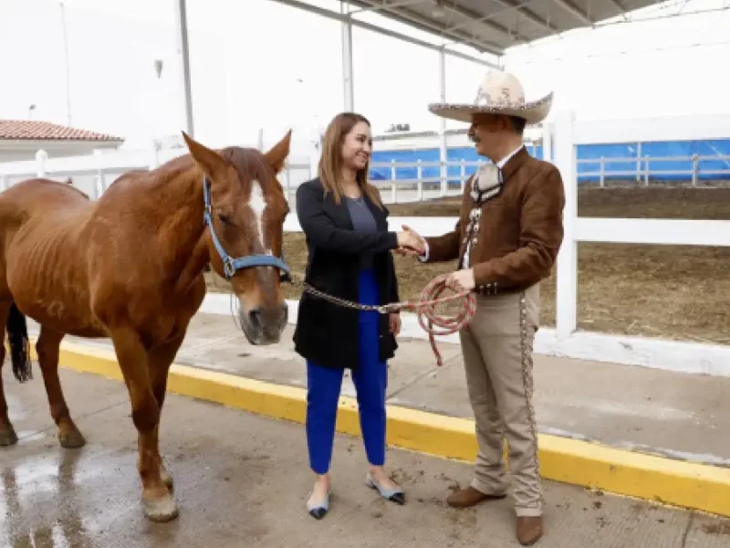 SMDIF Puebla entrega a fundación Corcel dos equinos para su retiro