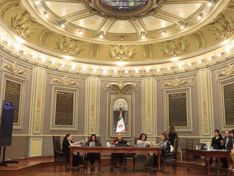 Proponen en el Congreso implementar programa "Adopta un Árbol"