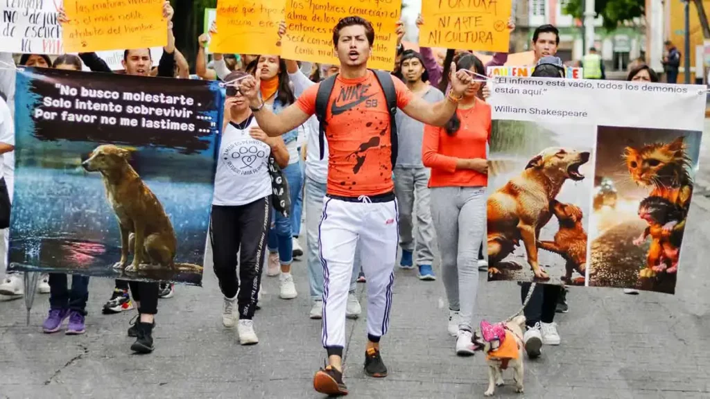 Colectivos animalistas realizan manifestación en Puebla contra la crueldad y abandono  