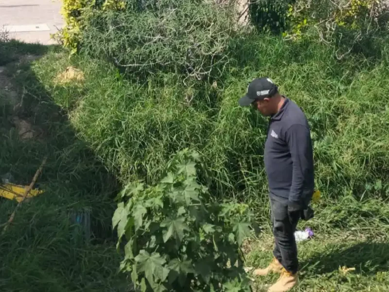 Emite Protección Civil de San Andrés Cholula recomendaciones ante tormenta tropical