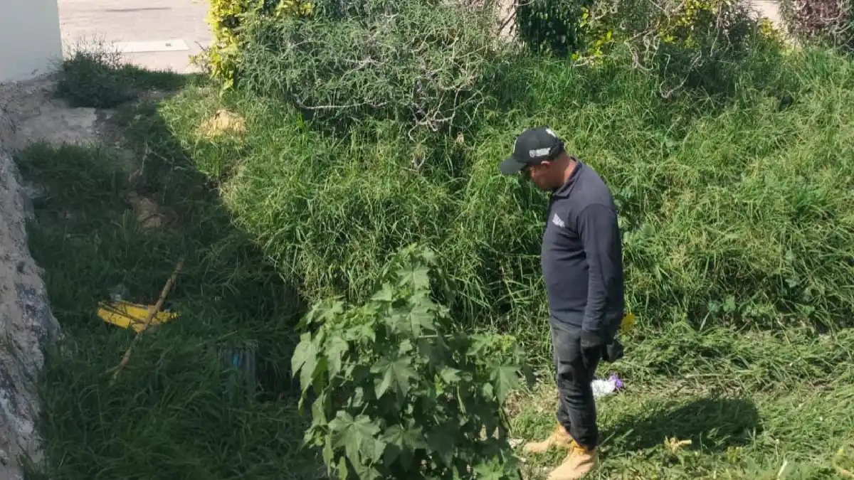 Emite Protección Civil de San Andrés Cholula recomendaciones ante tormenta tropical