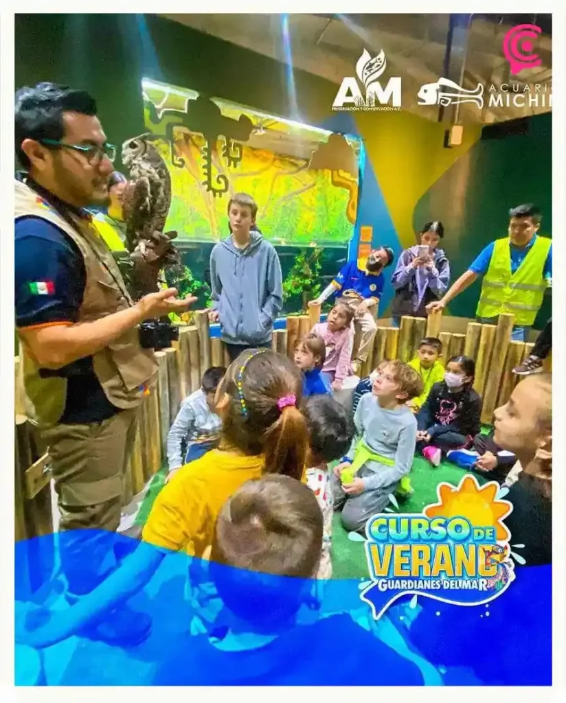Te recomendamos cinco cursos de verano en Puebla para las vacaciones 2024