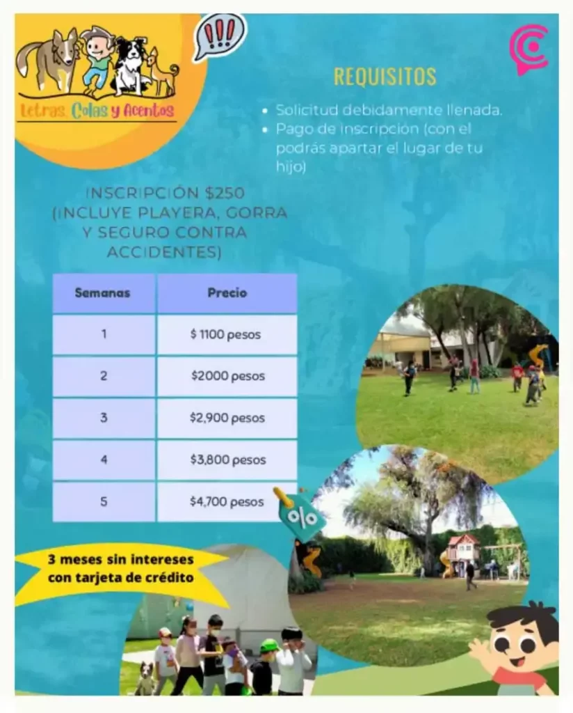 Te recomendamos cinco cursos de verano en Puebla para las vacaciones 2024